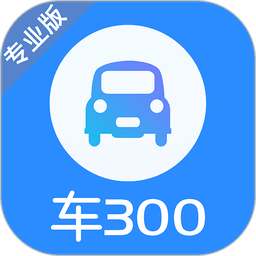 车300专业版