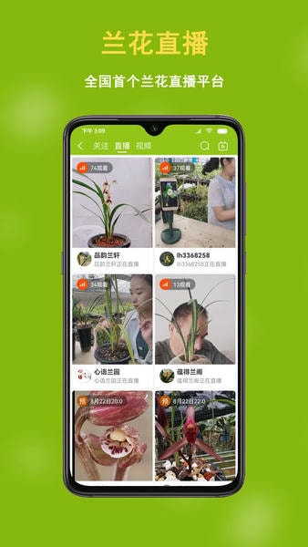 兰花交易网下载 v6.2.9 0