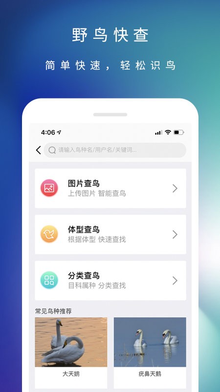 爱鸟下载 v3.6.0 0