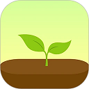 Forest专注森林 v5.13.0 