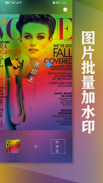 水印王下载 v6.1.5 0