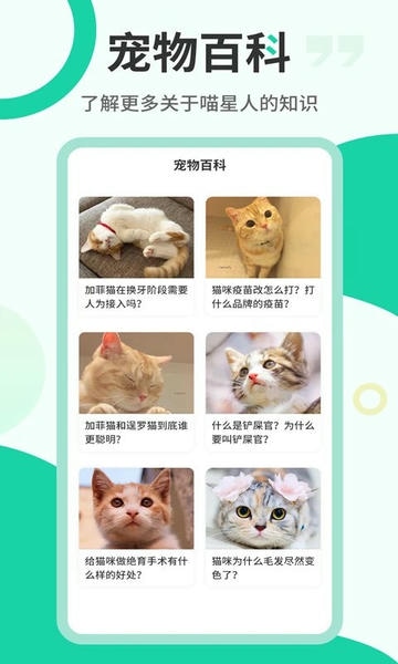 猫语翻译机下载 v2.6.5 2
