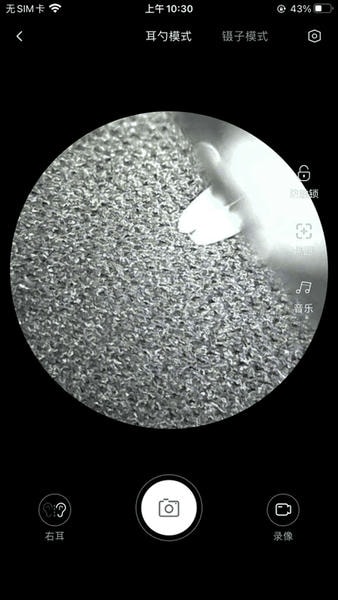 bebird下载 v6.3.43 1