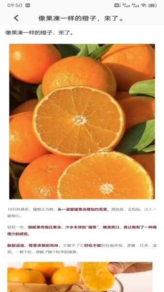 发财橙子下载 v1.0.4 1