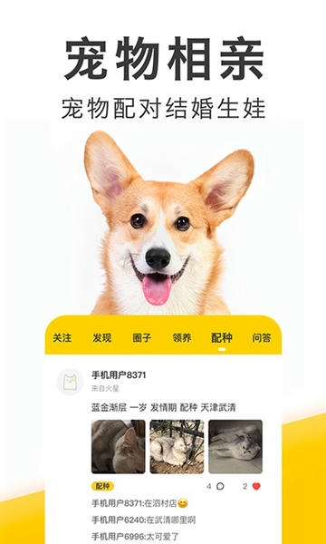有只宠物手机版下载 v2.3.8 2