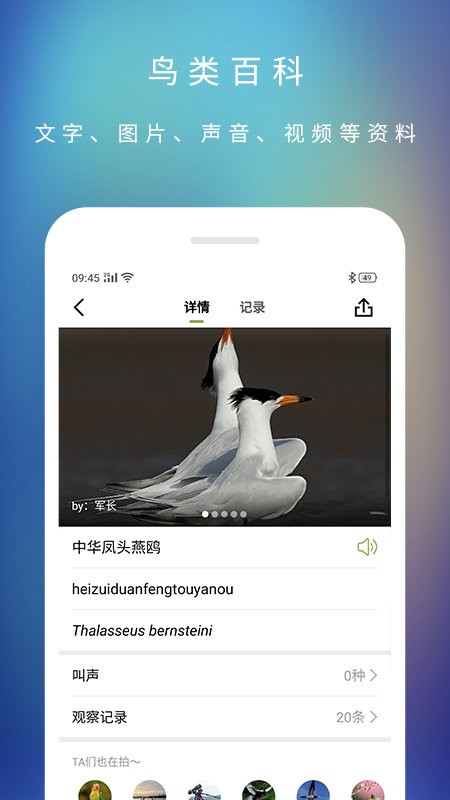 爱鸟下载 v3.6.0 2