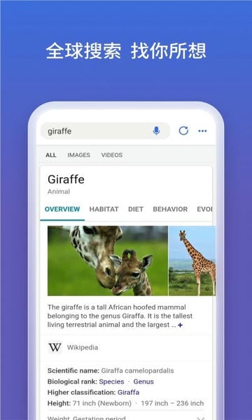 必应国内版下载 v32.6.2110003561 0