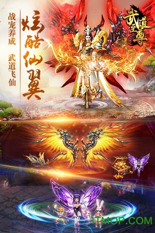 微信游戏武道至尊h5内购破解版下载 v1.0 安卓无限元宝版 2