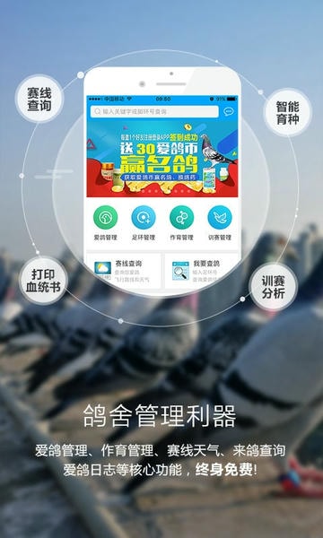 爱鸽者下载 v3.2.9 0