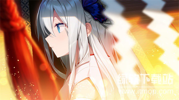 GINKA手机版下载 v1.0 0