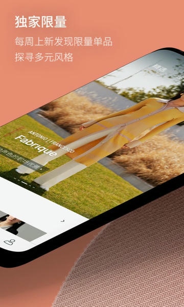 Fabrique下载 v2.2.7 0