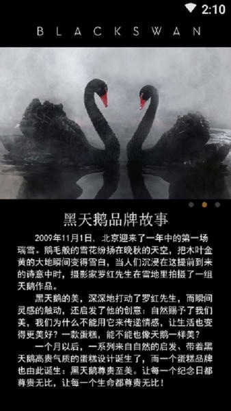 黑天鹅下载 v1.3 1