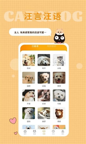 猫语狗语转换器下载 v1.9.6 0