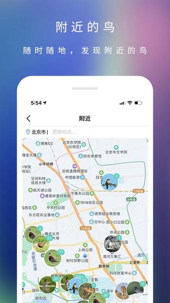 爱鸟下载 v3.6.0 1