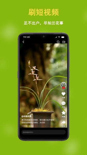 兰花交易网下载 v6.2.9 1