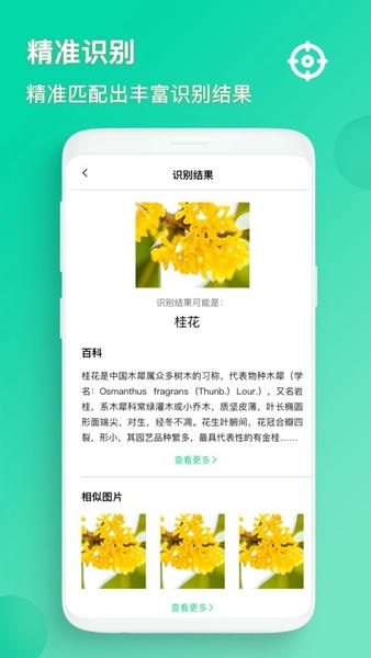 识图下载 v5.0.1 1