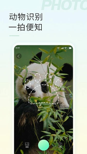 智能拍照识物下载 v1.3.2 1