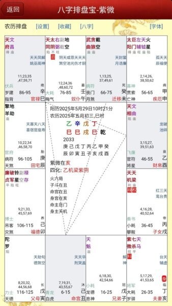 马国峻八字排盘宝下载 v2025.12.24 2
